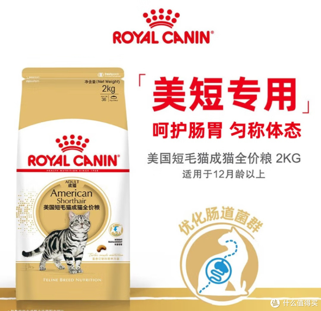 猫咪饮食全攻略：精选优质猫粮，守护喵星人的健康！