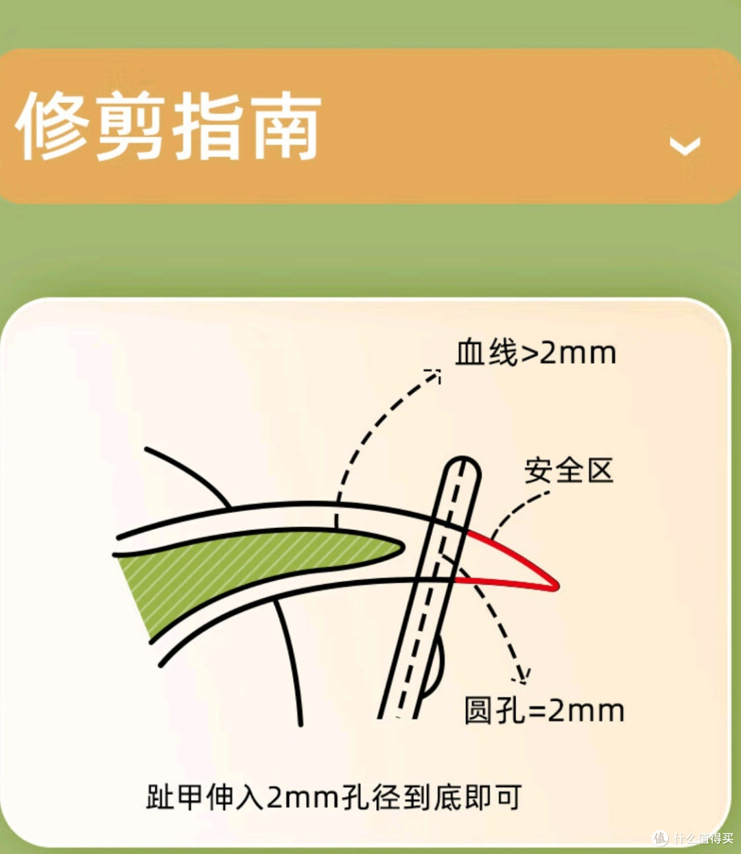 猫咪指甲护理的重要性，你知道吗？