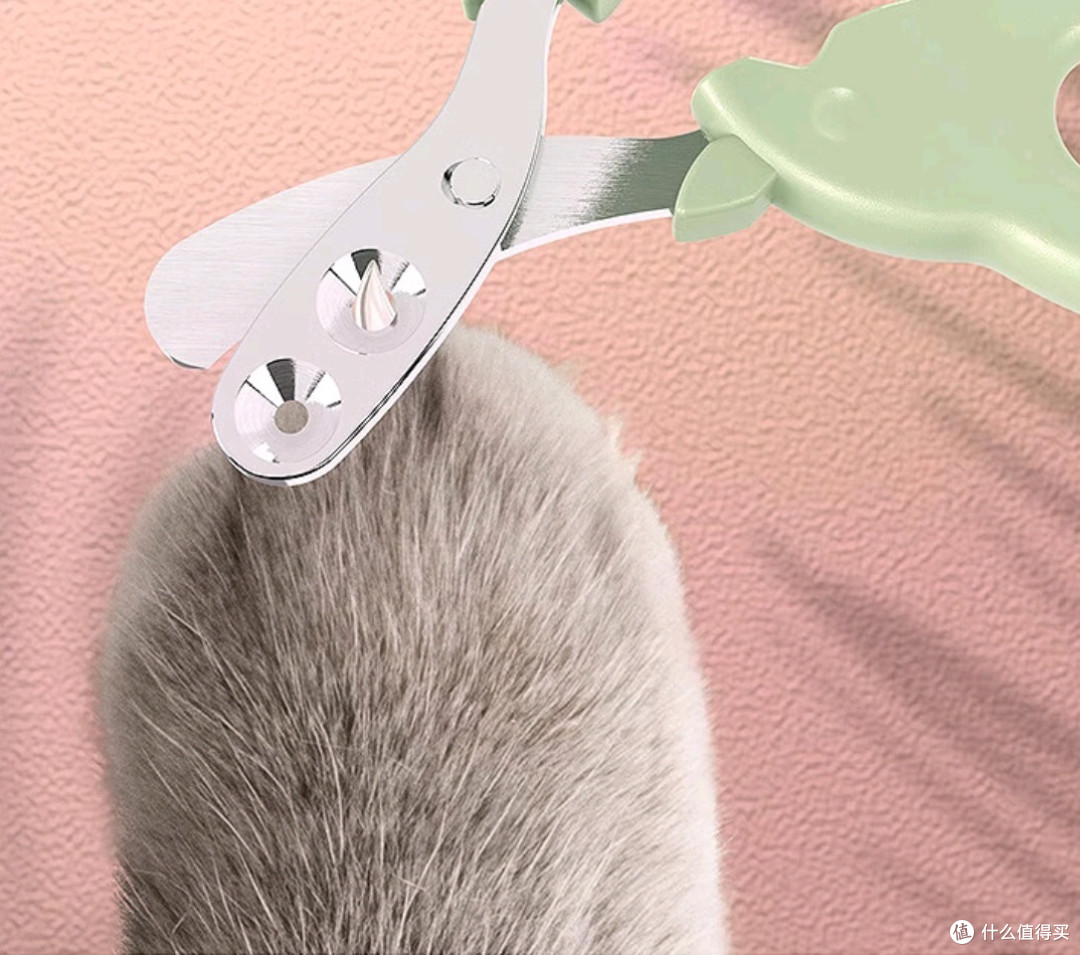 猫咪指甲护理的重要性，你知道吗？