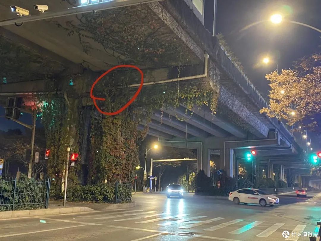 再难也不忍心不救它们!一天救回来5只猫!附【车底盘猫救援指南