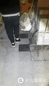 再难也不忍心不救它们!一天救回来5只猫!附【车底盘猫救援指南