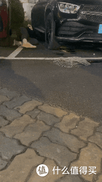 再难也不忍心不救它们!一天救回来5只猫!附【车底盘猫救援指南