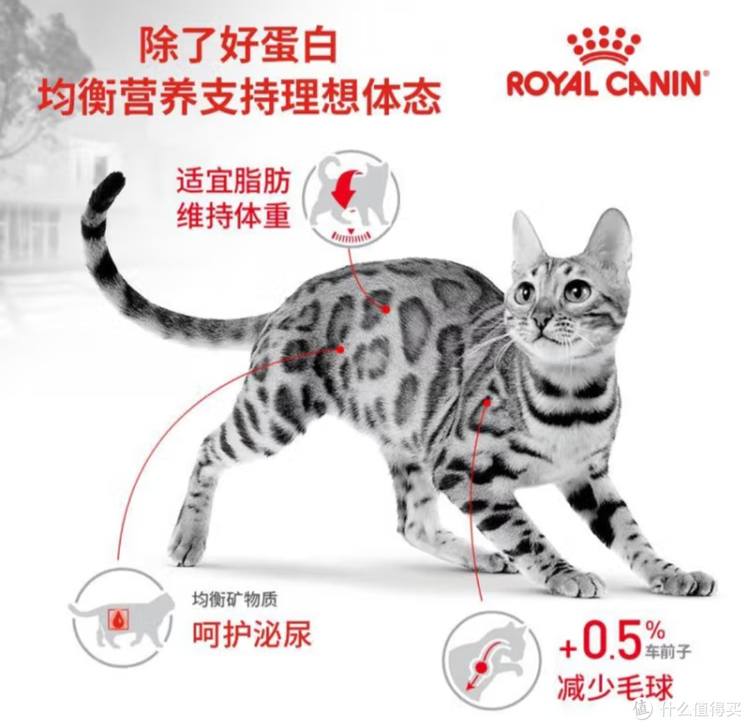 猫咪成长必备！F32猫粮，1-7岁成猫的均衡营养选择