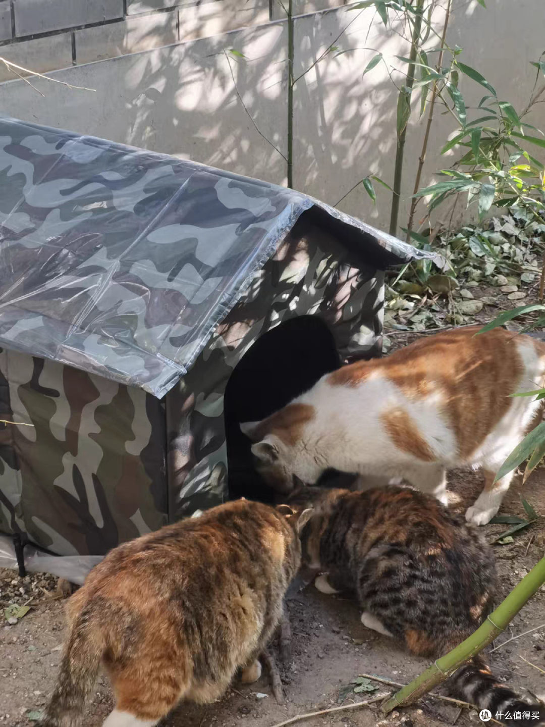 猫咪不在流浪,防雨防寒的户外猫窝