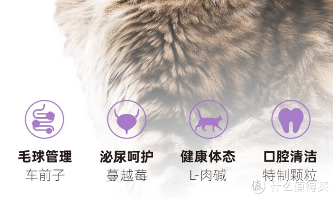 猫咪挑食怎么办？试试这款伯纳天纯猫粮！