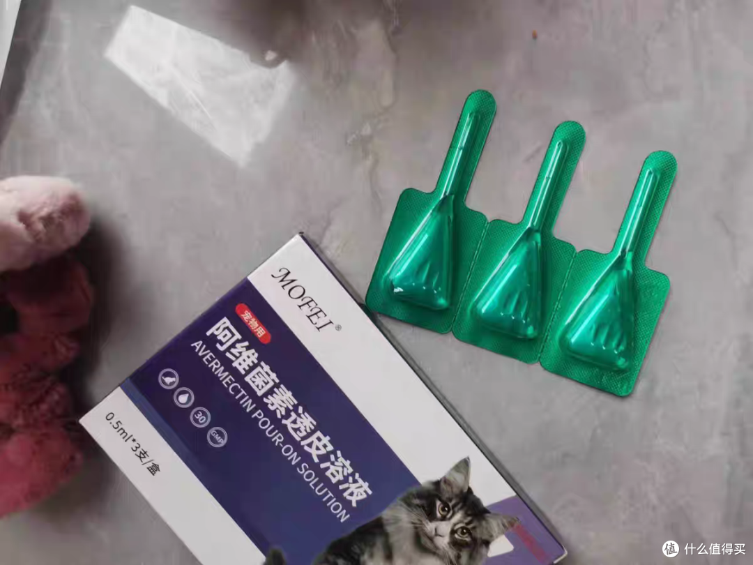 善待流浪猫,不要伤害它们