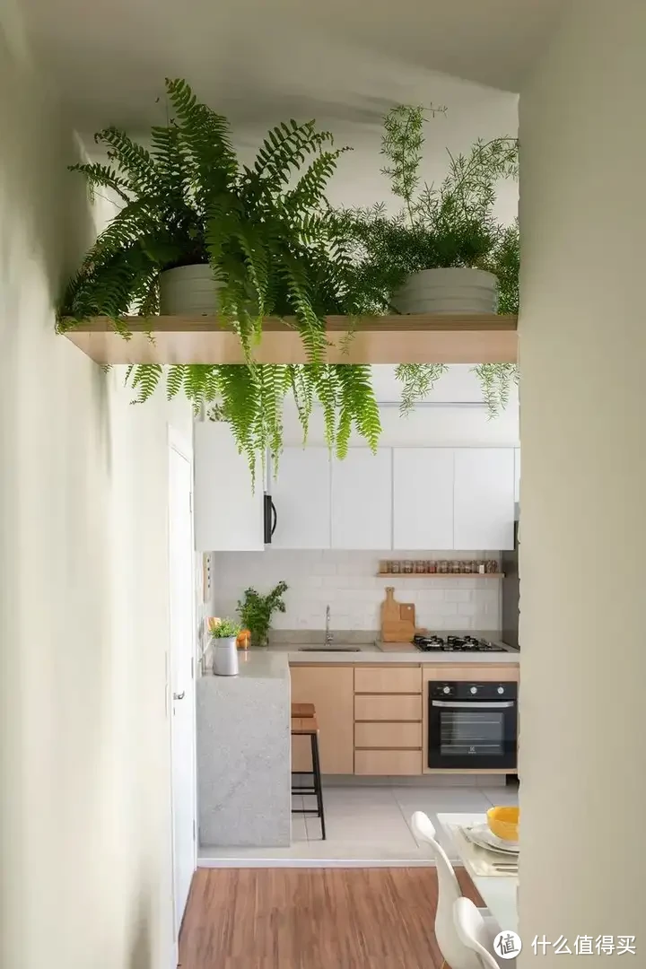 想在家打造一个植物角需要注意什么，有哪些绿植、花架的选购建议吗？