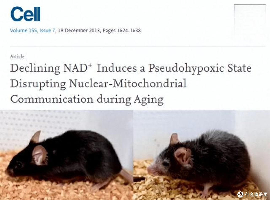巴菲特力挺前沿科技:NAD+助力抗衰,守护健康长久财富
