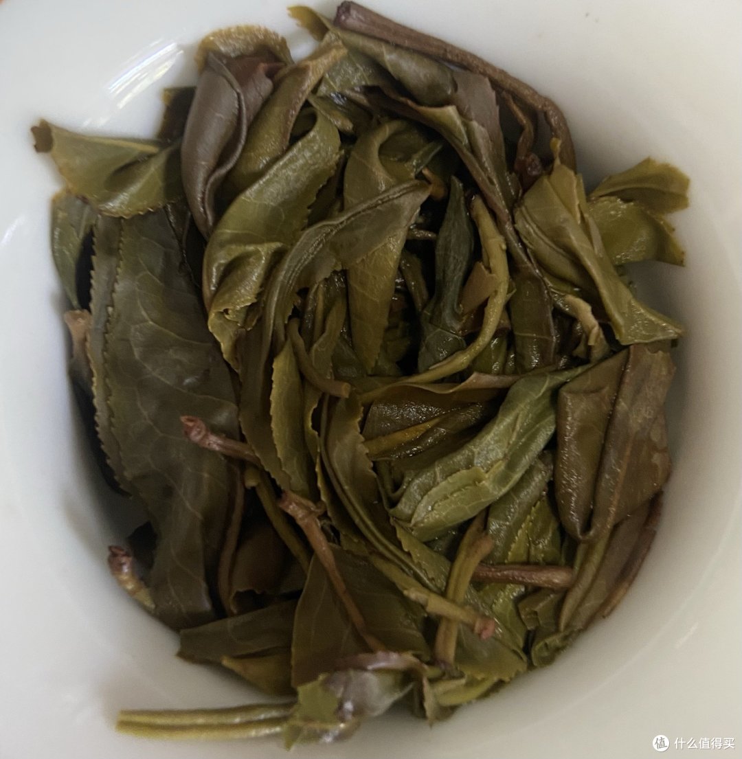 9527的普洱茶话会—梅子箐横评一