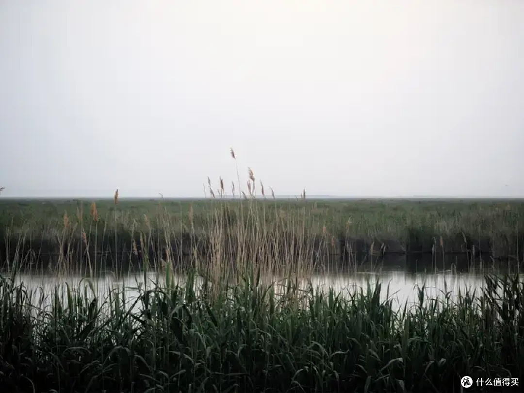 库尔勒,特价机票才600,特产是香梨!没想到是南疆旅游的宝藏城市啊!