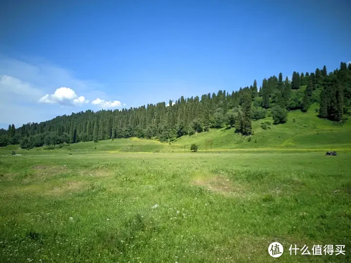 库尔德宁：堪称伊犁旅游性价比之王！天山深处的小众秘境，可自驾游览