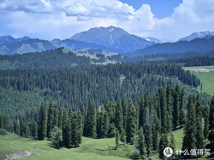 库尔德宁：堪称伊犁旅游性价比之王！天山深处的小众秘境，可自驾游览