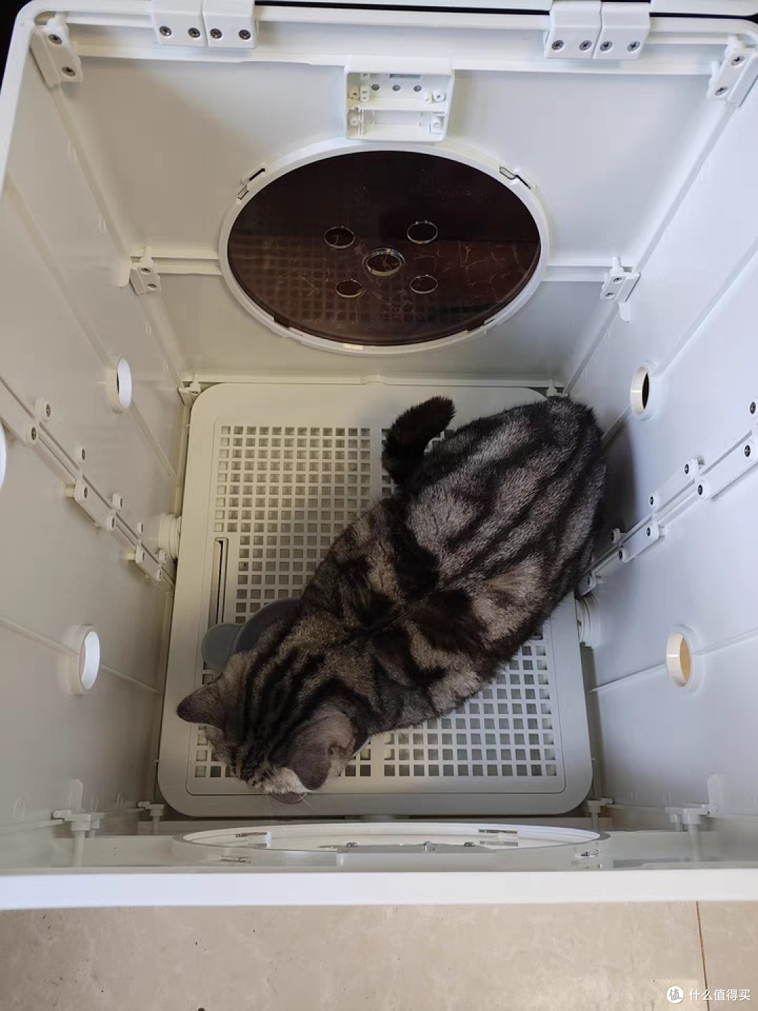 折叠宠物烘干箱猫咪自动吹干机家用洗澡吹毛烘干神器吹风吹水狗狗