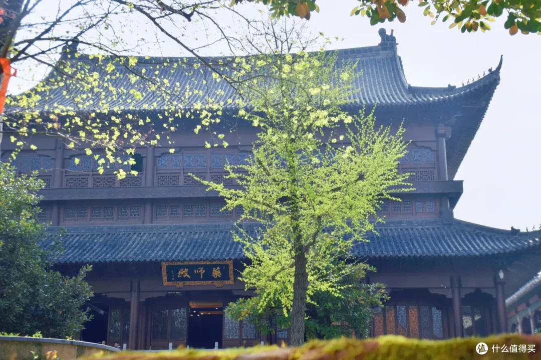 这座碳水把肚皮撑破的城市竟然还这么好看
