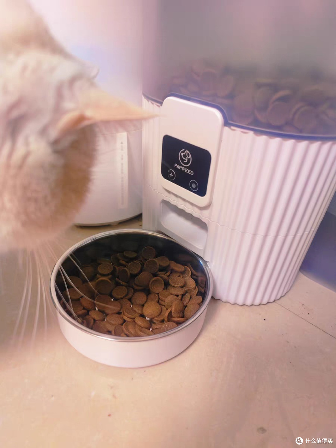 PAPIFEED猫狗智能喂食器猫咪宠物自动定时定量猫粮狗粮自助投食机