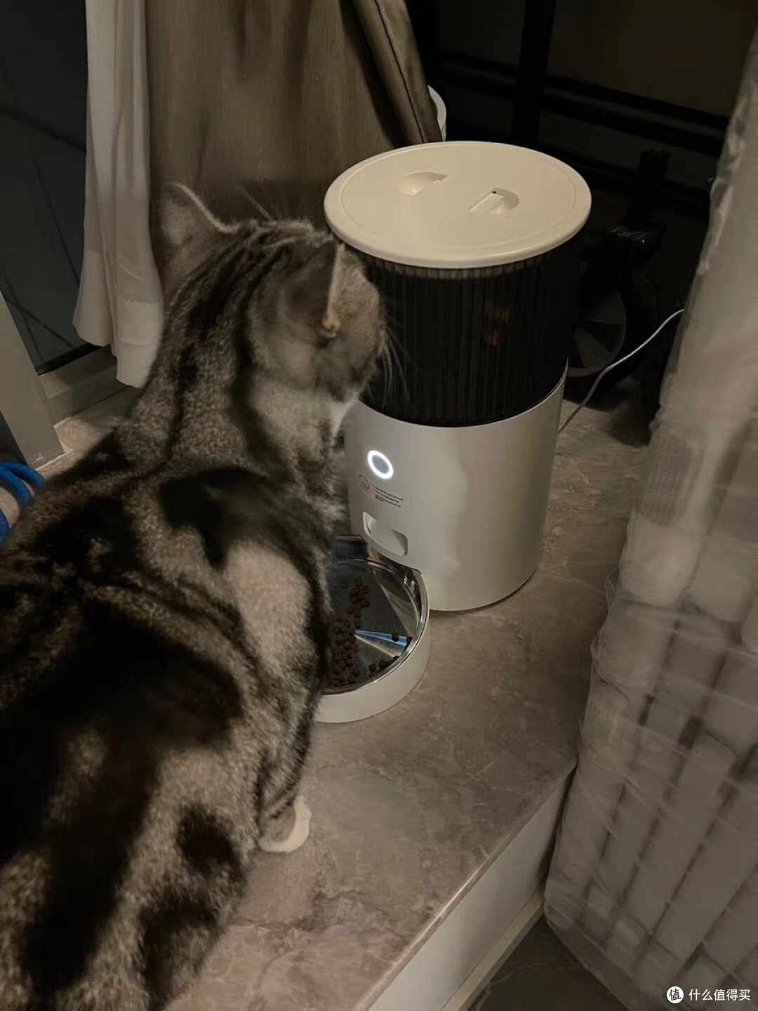 鸟语花香mini智能自动喂食器猫咪狗狗猫粮狗粮定时定量宠物投食机
