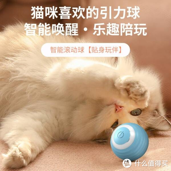 憨憨乐园：逗猫球与自嗨解闷神器的温馨乐章