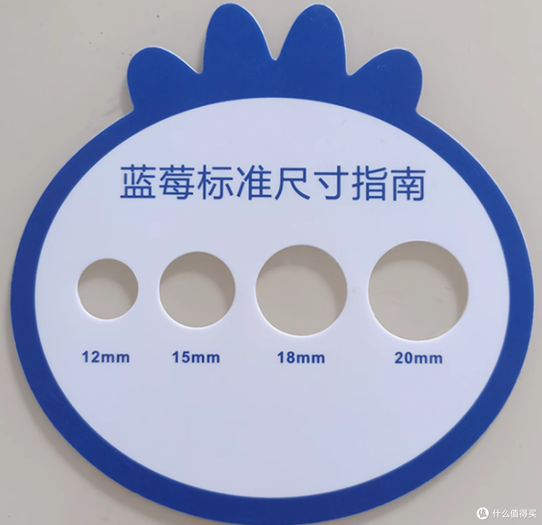 蓝莓超详细选购指南｜哪些品种口感好？等级怎么分？如何清洗保存？一文说清蓝莓这些事
