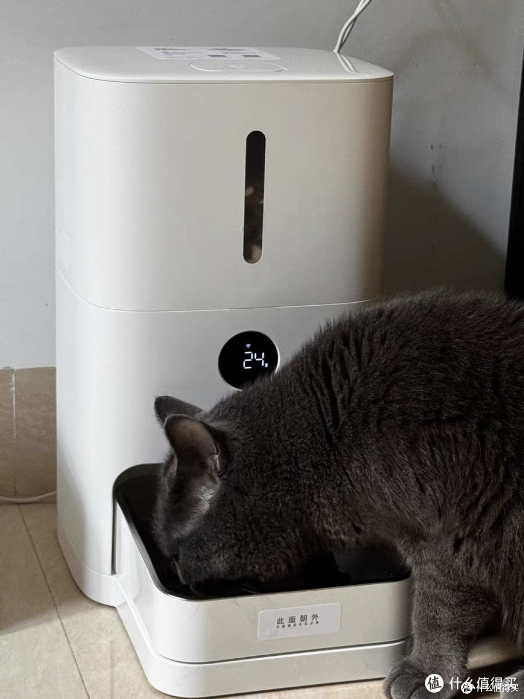 小米米家智能宠物自动喂食器2猫咪狗狗定量定时喂食器自动投食机