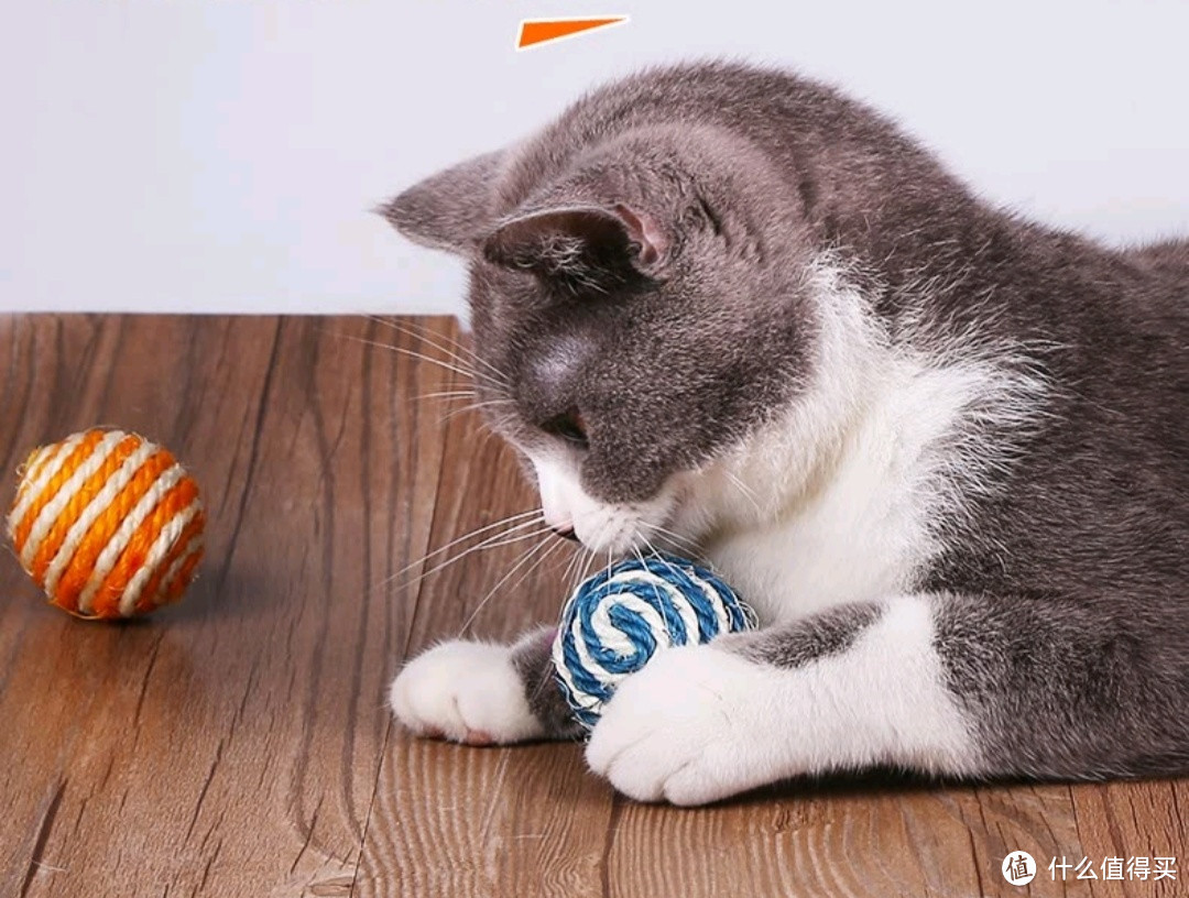 憨憨乐园猫玩具球——猫咪的快乐源泉