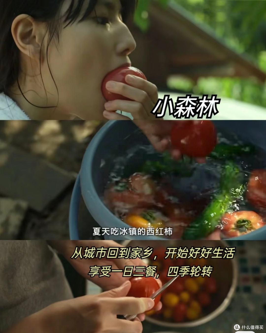 适合宅在家里看的治愈解压电影