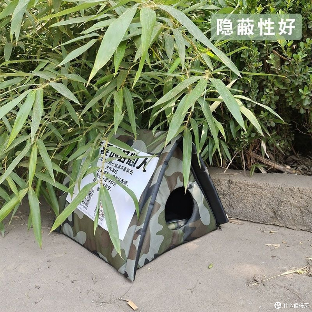 拯救流浪猫,从"流浪猫窝"开始!