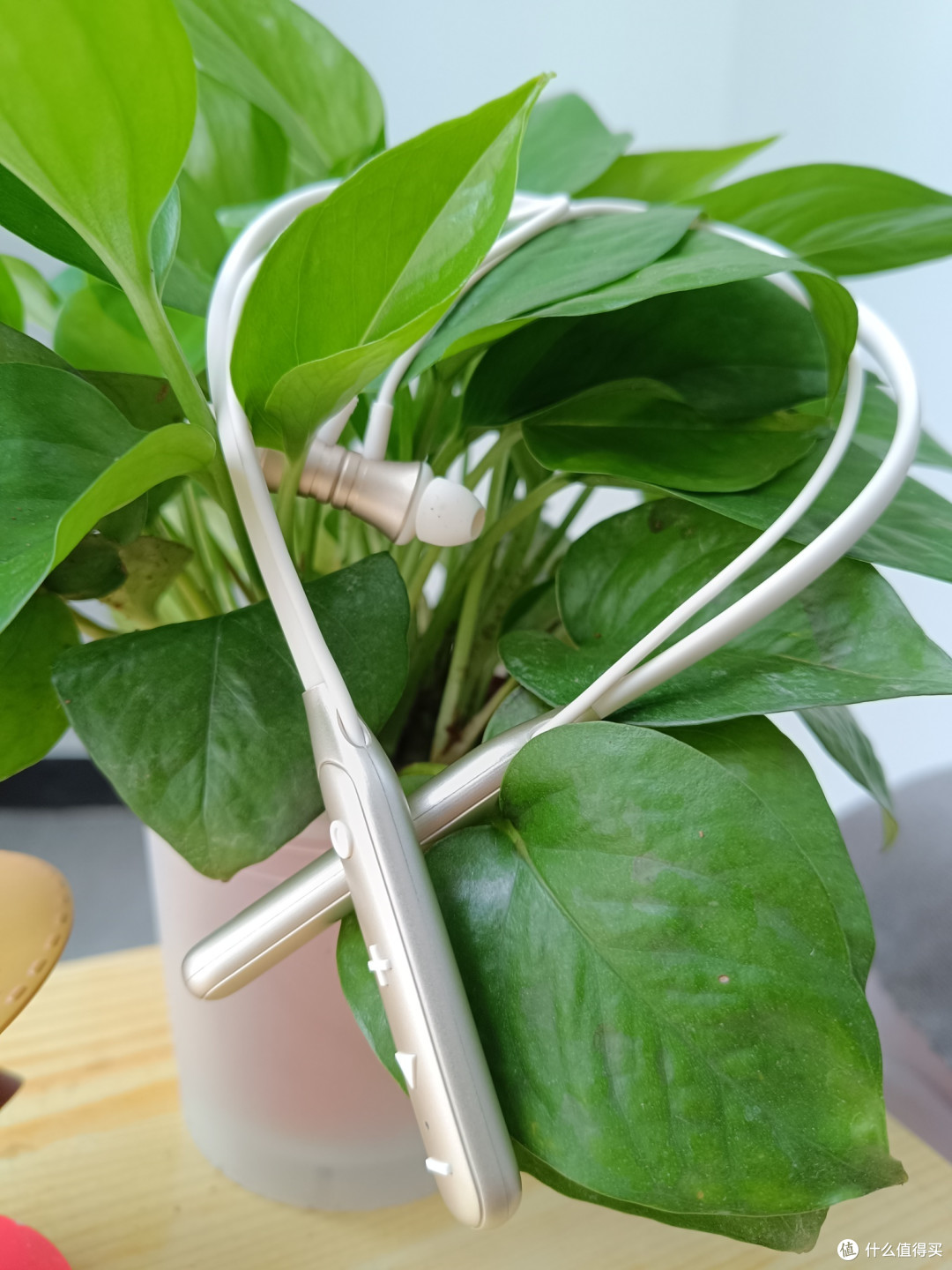 云端旋律:竹林鸟玉笛E100耳机的使用随想