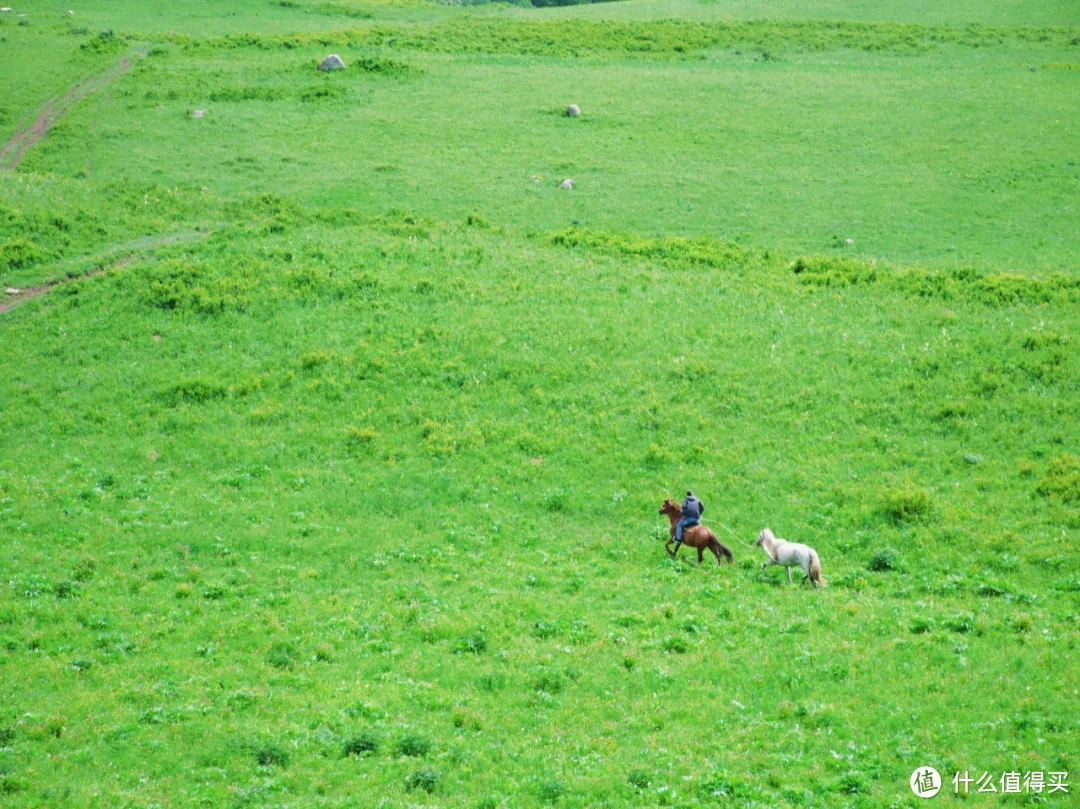 没开播就火到戛纳，这部热播剧取景地治愈力max