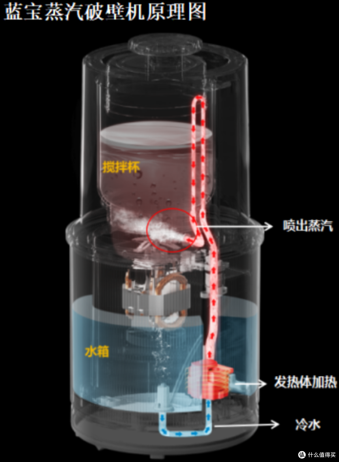 破壁新概念?蒸汽破壁机是噱头吗?蒸汽破壁机和普通破壁机有什么区别?蓝宝PB08蒸汽破壁机深度测评!