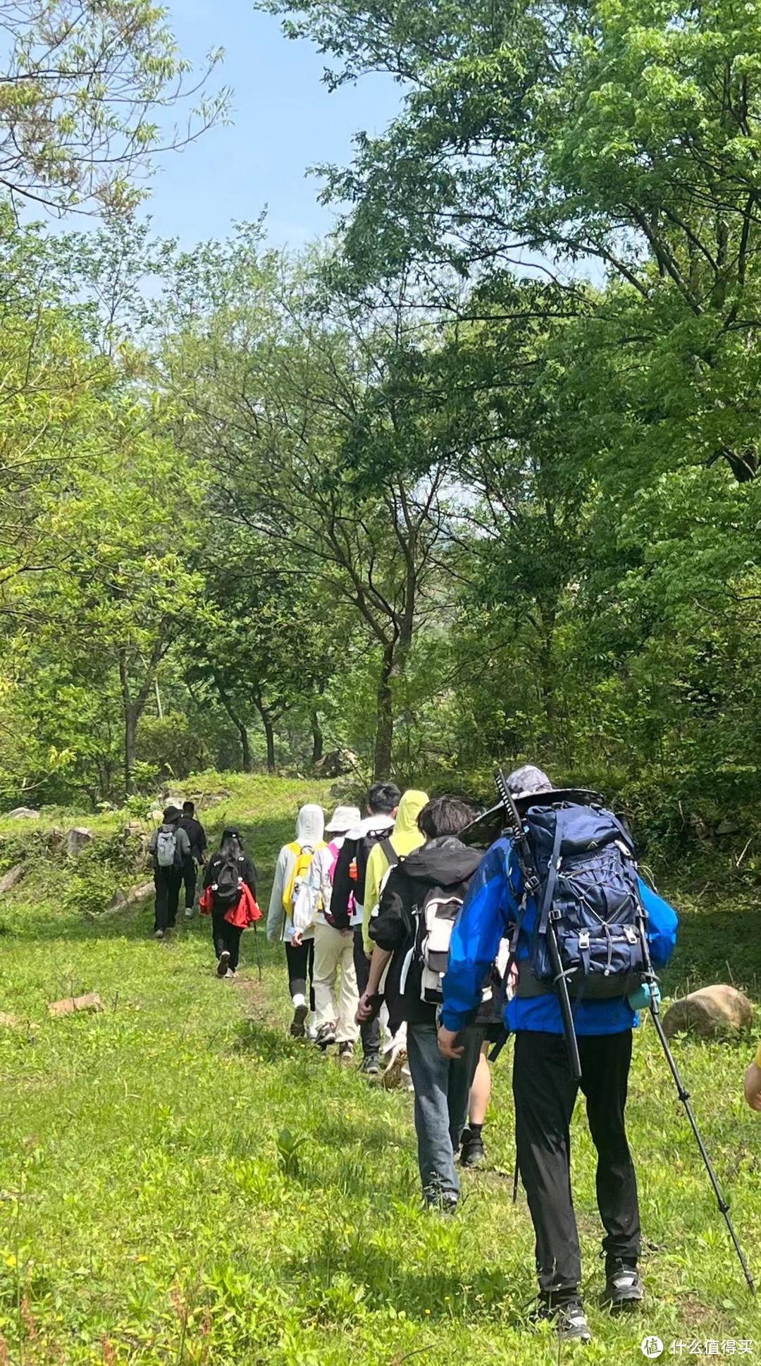 全副武装，登顶老君山，齐心协力，夺取壮美山巅-15Km决定封腿一个月