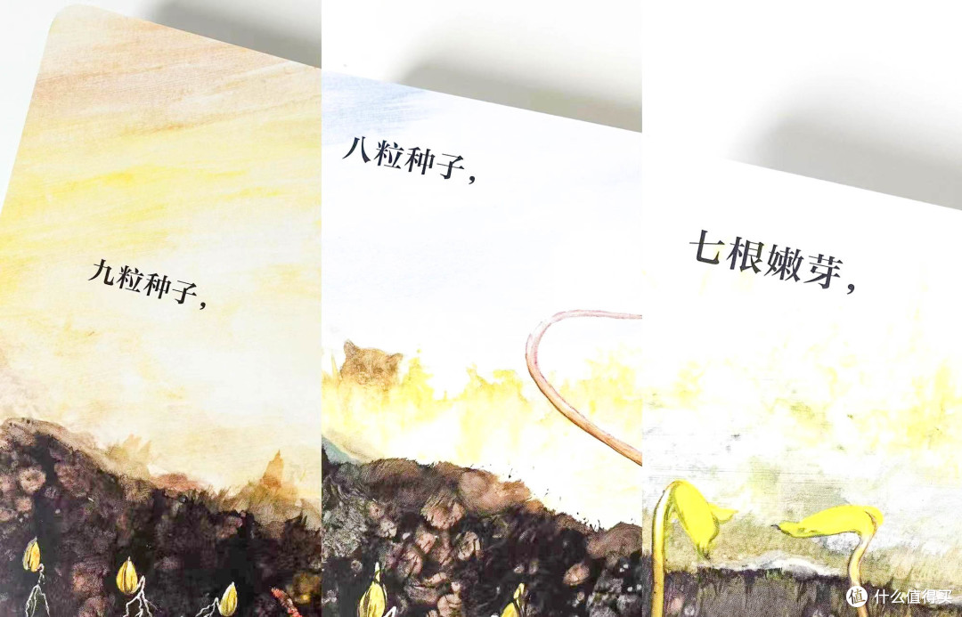 一本=三本!带孩子了解自然规律、轻松学数学、一起领略人生哲理