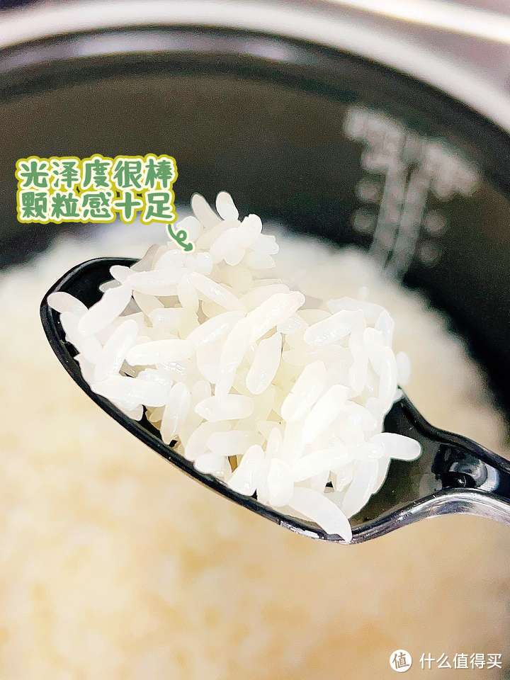 家用电饭煲怎么选？N年下厨经验教你挑一款好饭煲！附2款苏泊尔电饭煲对比测评！