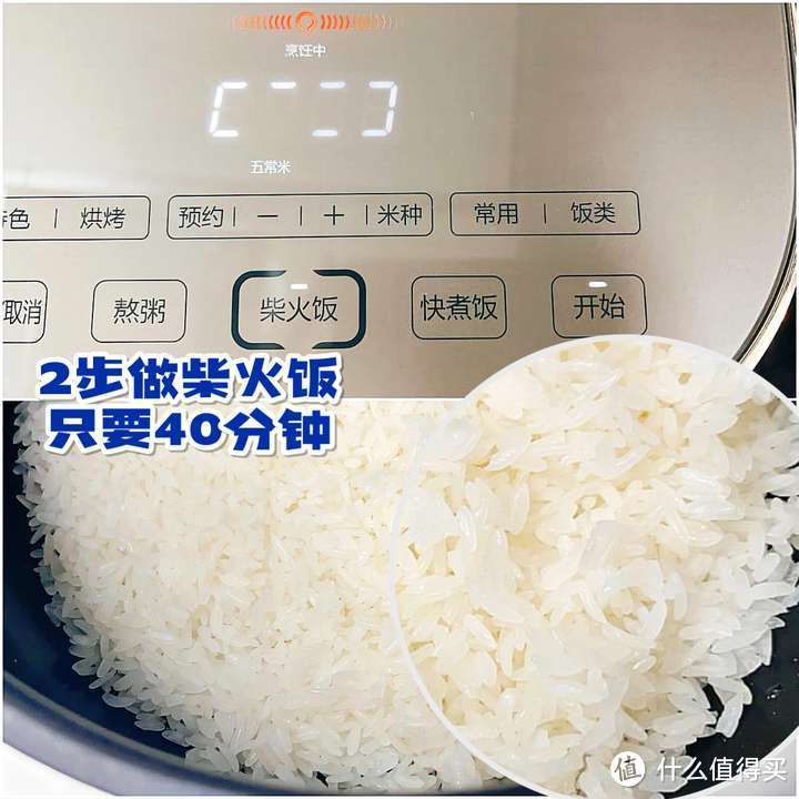 家用电饭煲怎么选？N年下厨经验教你挑一款好饭煲！附2款苏泊尔电饭煲对比测评！