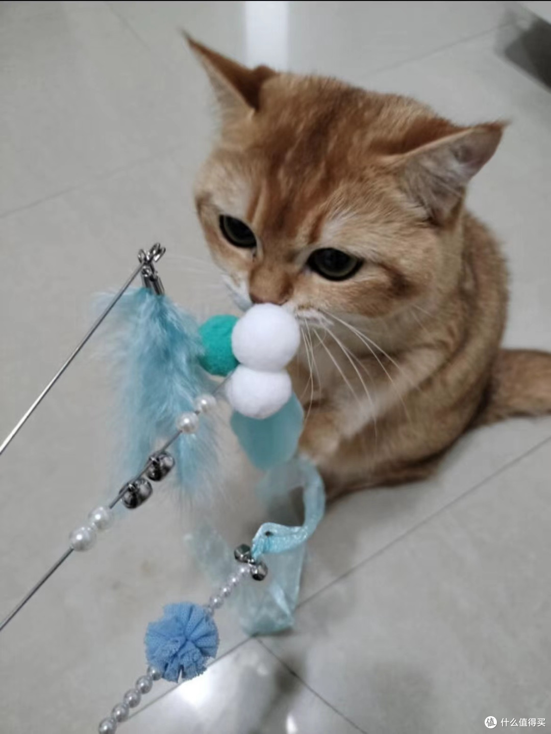 逗猫棒_宠物毛绒玩具_什么值得买