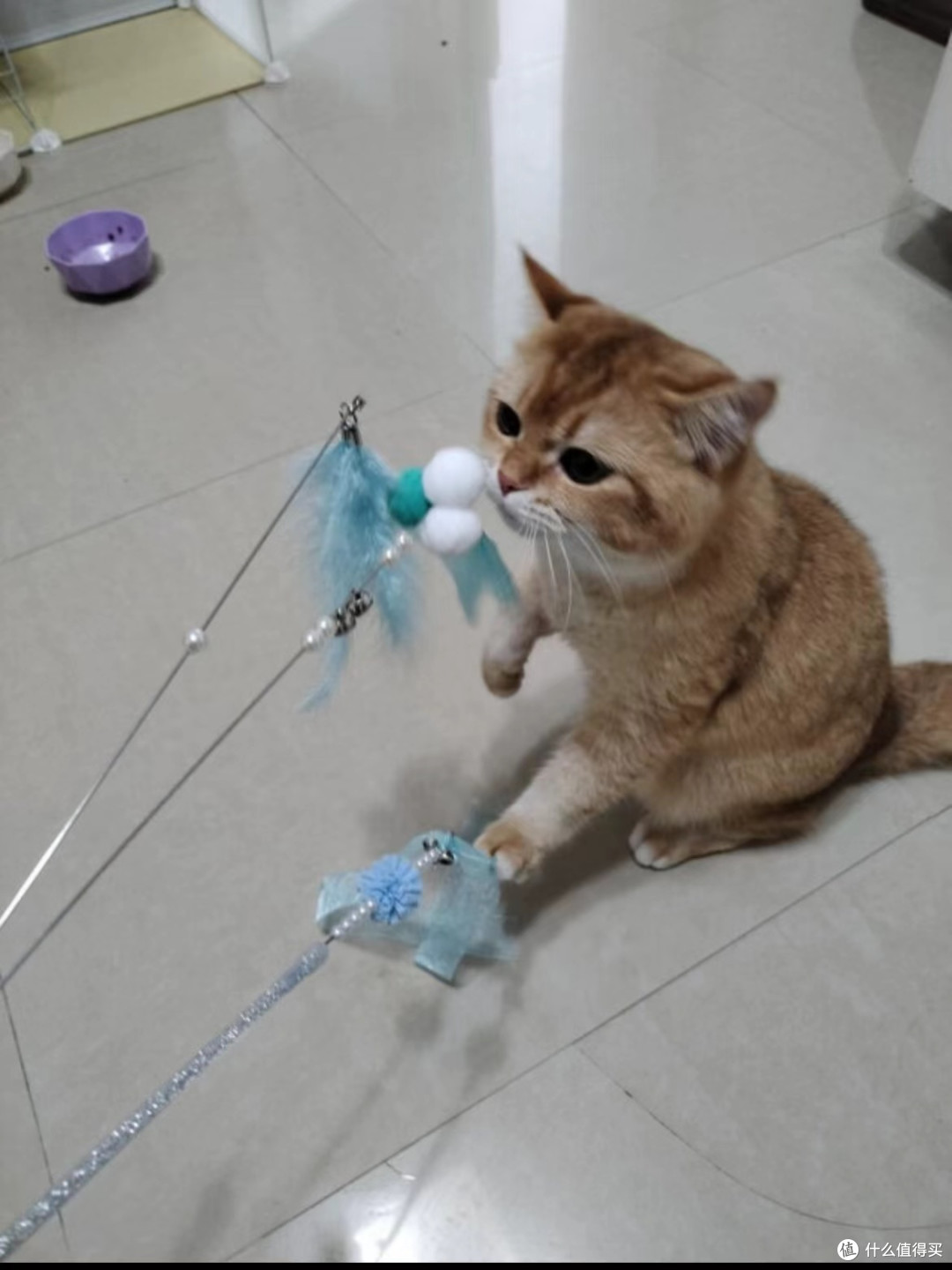逗猫棒_宠物毛绒玩具_什么值得买