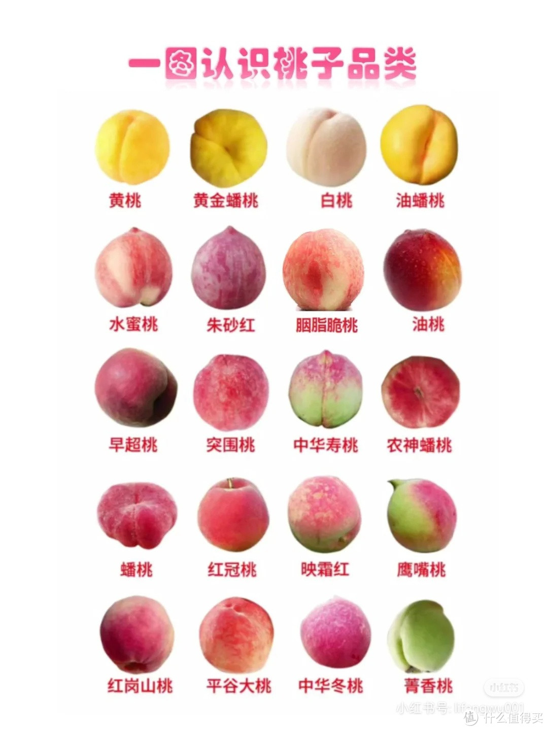 认识桃子的种类……