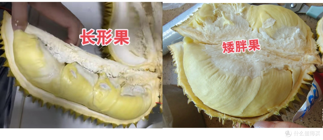 663f67e9ed532545.jpg_e1080.jpg