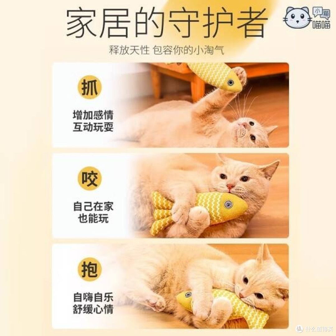 小猫喵喵的欢乐时光