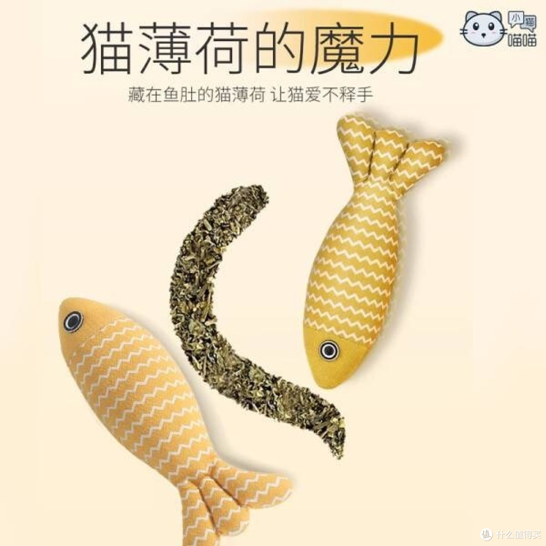小猫喵喵的欢乐时光