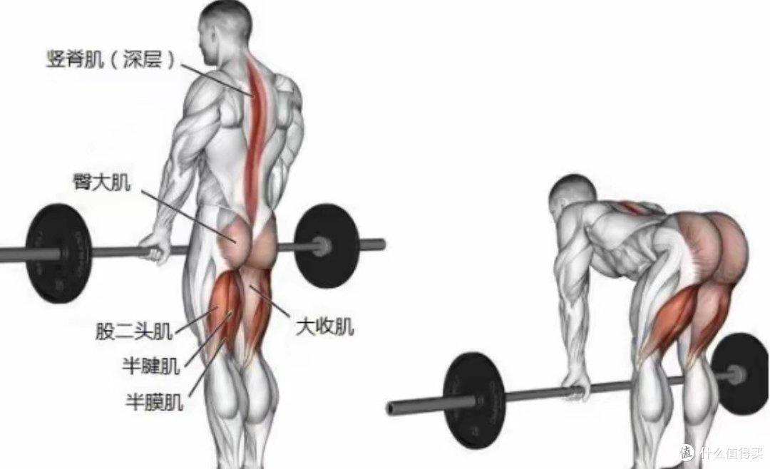 664075cffb35e3500.jpg_e1080.jpg