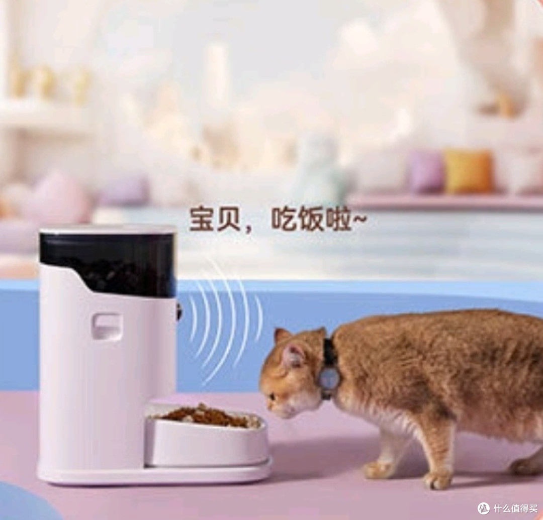 养猫必看!这些猫咪用品让你的生活更省心