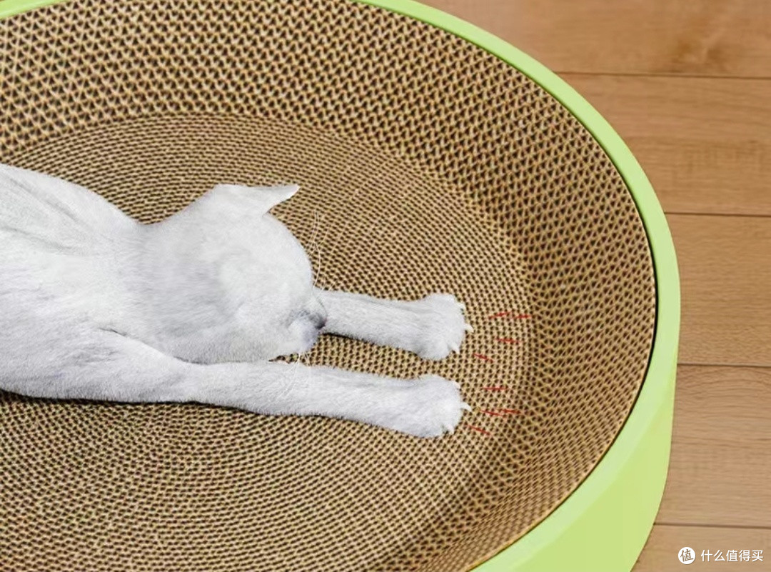 养猫必看!这些猫咪用品让你的生活更省心
