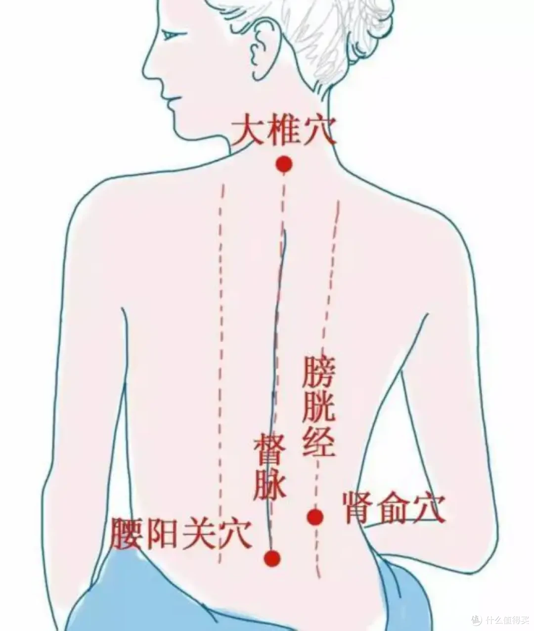 学生党/打工族等久坐人士应该如何缓解腰酸背痛?奥佳华2101小腰姬S+腰背按摩仪到底行不行?