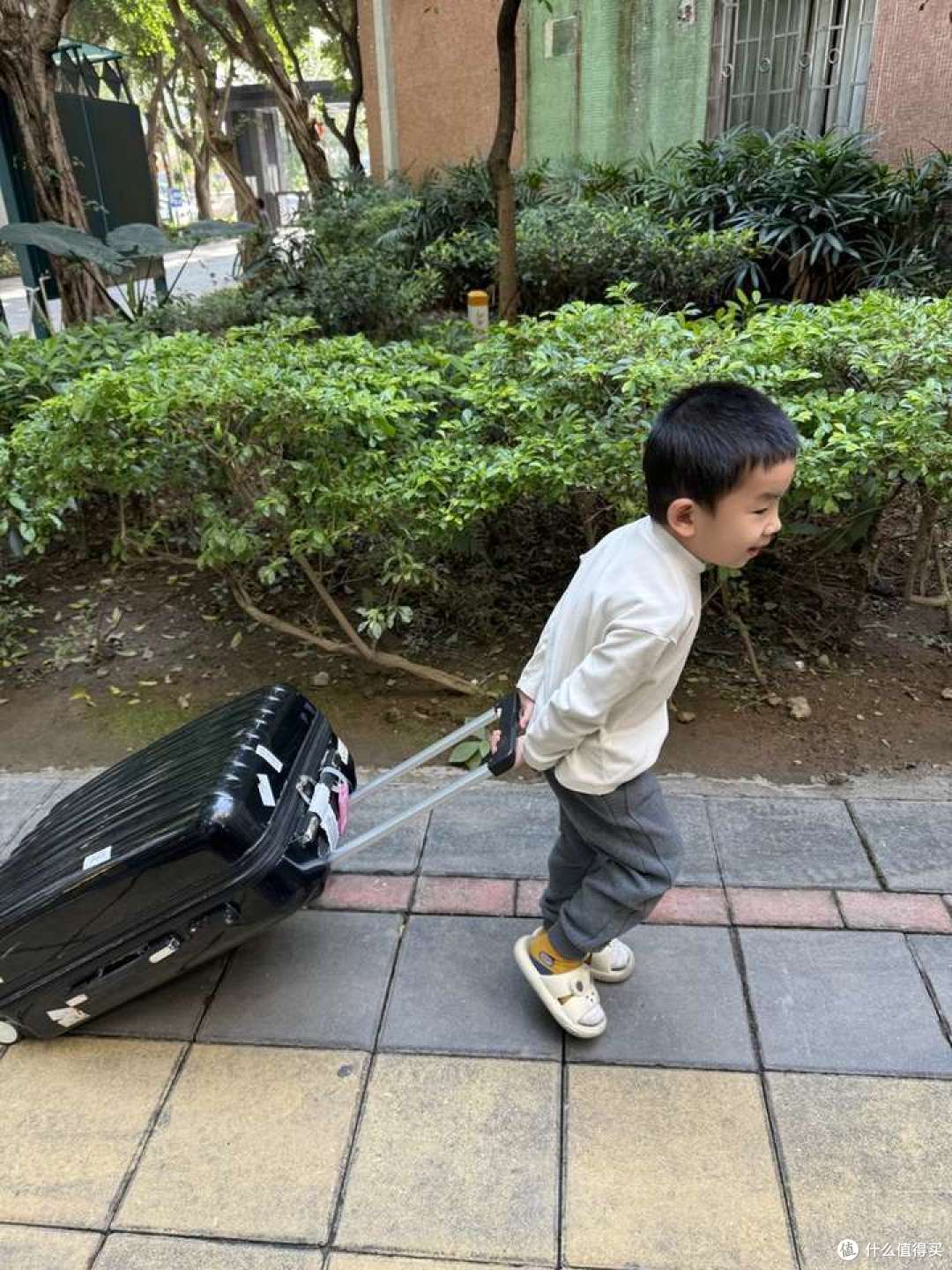 出国旅游要多大尺寸的旅行箱合适?地平线8号行李箱开箱评测(大旅行家)