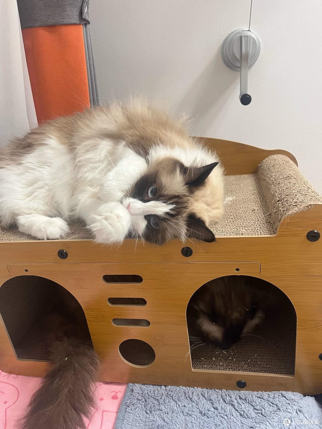 猫抓板窝耐磨不掉屑立式猫爪板耐抓猫窝四季通用猫屋沙发防抓玩具