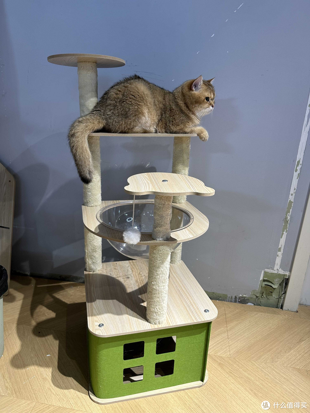 猫爬架猫窝太空舱剑麻猫树一体特价清仓猫抓柱跳台不占地猫咪用品