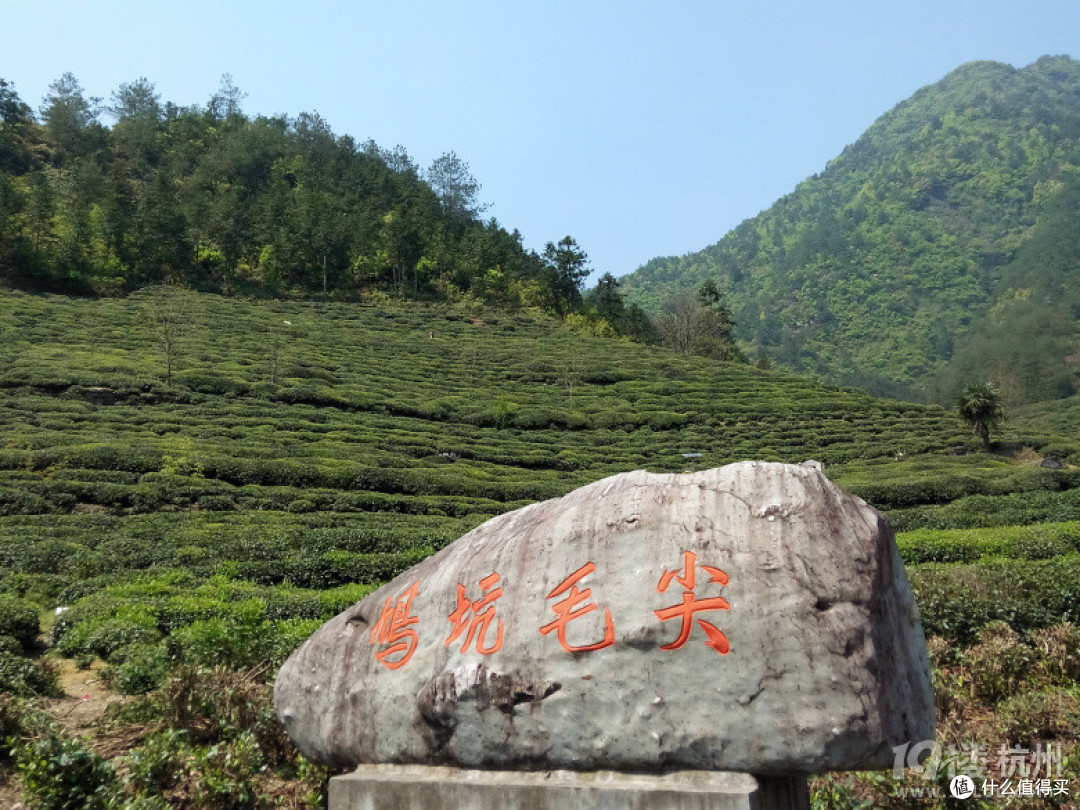 盘点一下杭州茶韵（二）