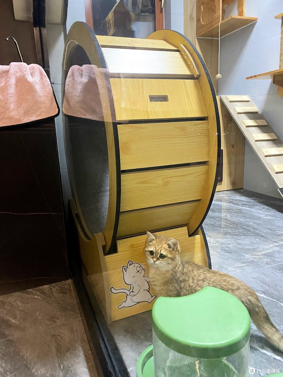 宠物猫咪跑步机特价清仓猫跑步滚轮静音运动健身大型猫爬架猫玩具