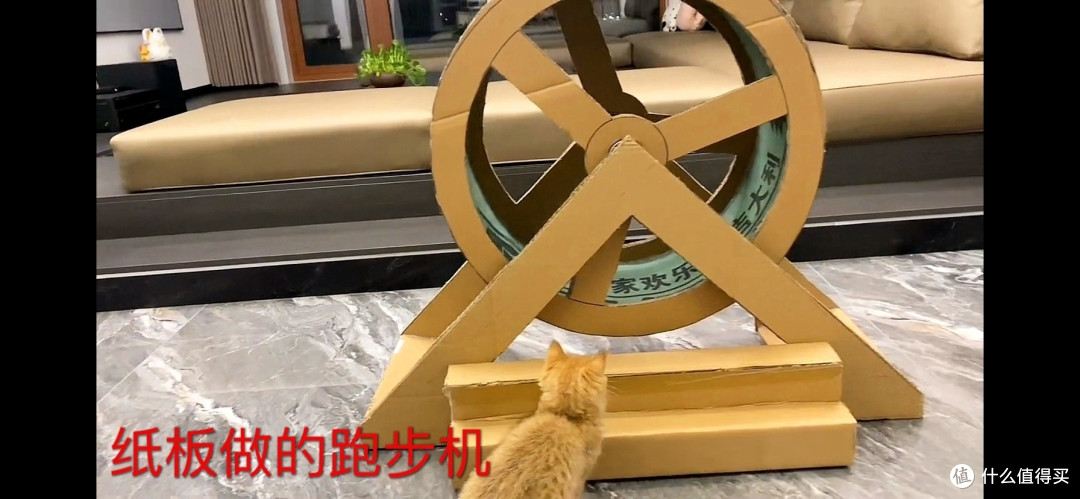 宠物猫咪跑步机特价清仓猫跑步滚轮静音运动健身大型猫爬架猫玩具