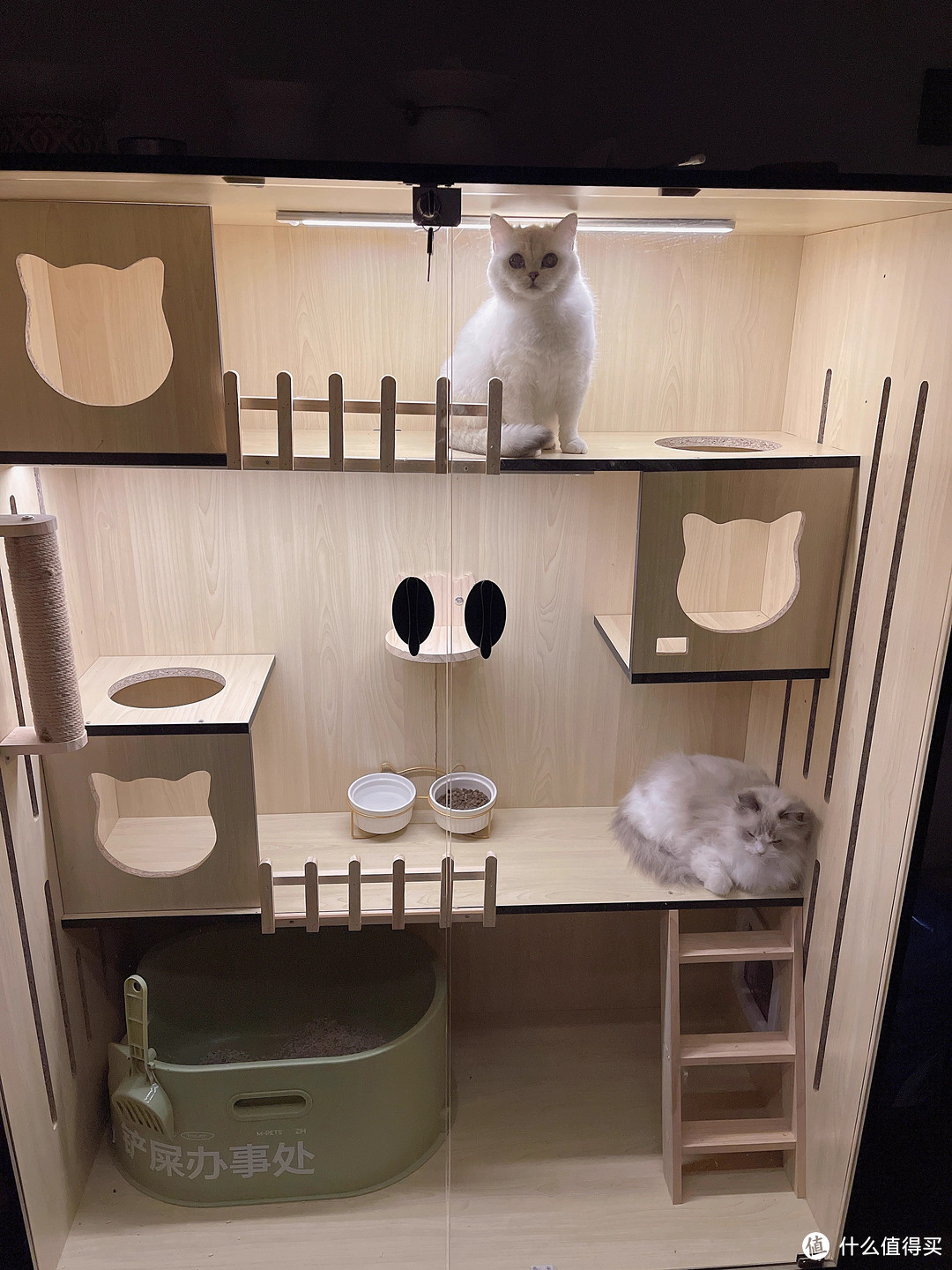 弘茂金猫别墅猫笼家用室内猫窝猫屋自由空间猫舍柜猫咪房子宠物柜